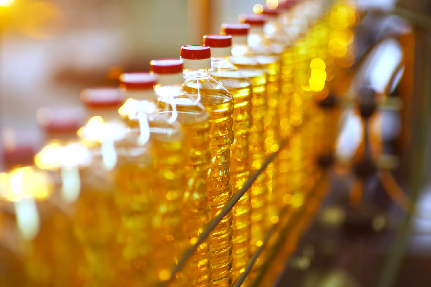 Liquid Gold Lost: How India’s Edible Oil Policy Dismantled Its Farming Future