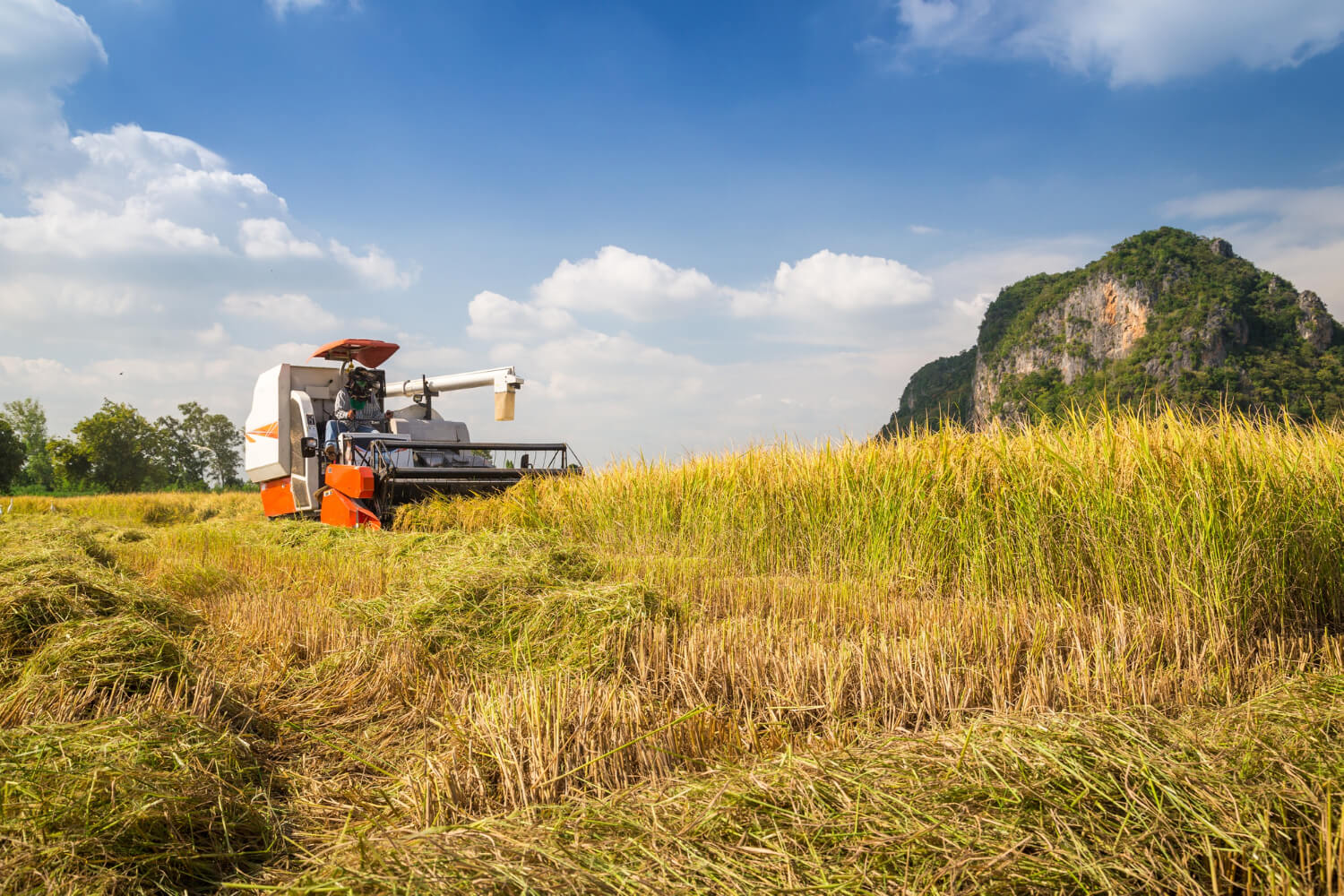 Harvest Without Havens: Can India Secure What It Grows?